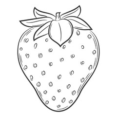 Strawberry fruit in a linear style. Black and white vector decorative element, drawn by hand.