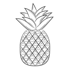 Pineapple fruit in a linear style. Black and white vector decorative element, drawn by hand.