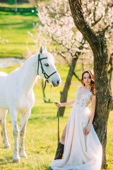 Fototapeta premium Bride in white dress stands near horse and holds it by reins in spring blooming garden.