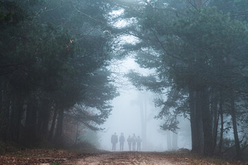 Group of people hiking in foggy autumn forest
