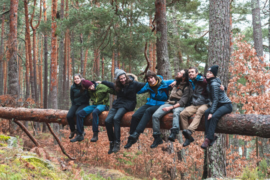 Group of hikers sitting together on fallen tree in autumn forest