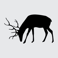 Deer Silhouette, Deer Isolated On White Background