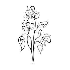 ornament 1750. twigs with stylized blooming flowers and leaves black lines on a white background