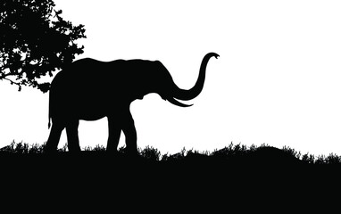 elephant standing Vector illustration, African nature with a wild elephant. Black silhouette of an elephant.