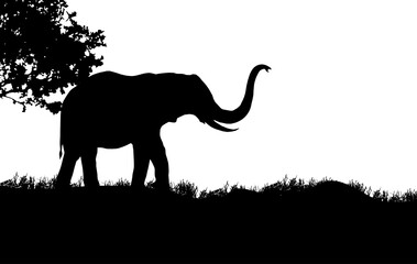 elephant standing illustration, African nature with a wild elephant. Black silhouette of an elephant.