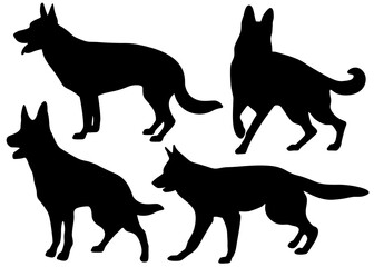 Shepherd dogs in the set. Vector image.