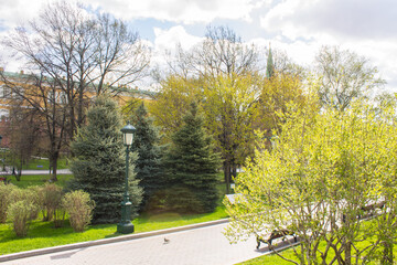 view of the Alexander Garden with its beautiful green trees and red brick Kremlin wall on a cloudy spring day and space to copy. Concept-a famous place in Moscow Russia