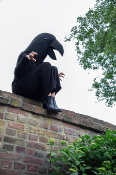 Aggressive woman in crow costume sitting on retaining wall against sky
