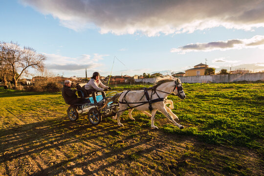 Animal trainers guiding horse path while sitting behind in carriage on ranch