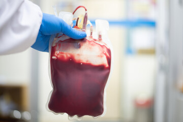 Blood bag in blood bank laboratory.