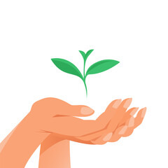 The female hand carefully holds the green sprout of the plant. Illustration on white background
