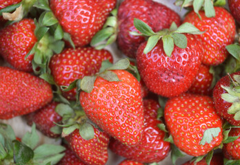 Red ripe strawberries background. Close up, top view. Strawberry background. Strawberry from the top. 