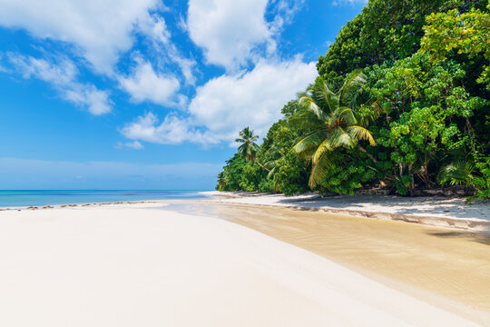 Seychelles, Praslin Island, Anse Lazio sandy beach with palm trees