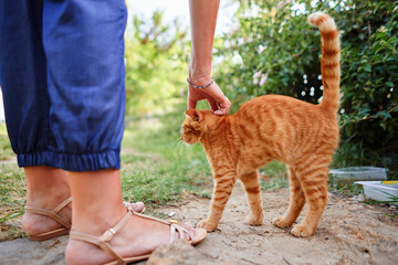 Woman playing with cat in city park.