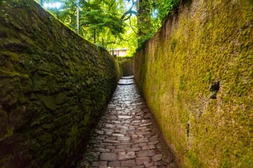 Schlagenweg historic path on the way up to the Philosopher's way in Heidelberg, Germany
