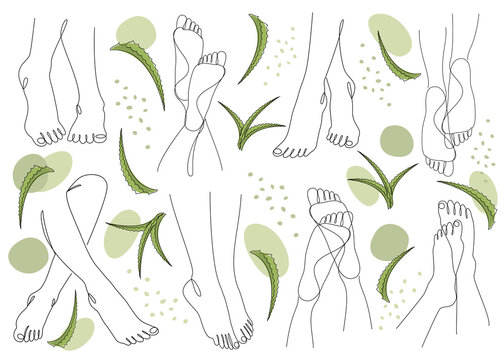 Collection. Silhouettes of human legs, feet and aloe vera leaves in a modern style. Continuous drawing of one line, contour for decoration, wall posters, stickers, logo. Set of vector illustrations.