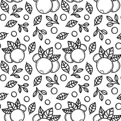 blueberry line black and white doddle seamless pattern background