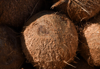 close up of pores of coconut fruit