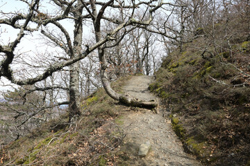 Landscape of trail on mountain bear