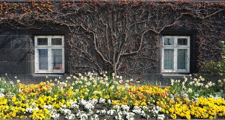 old house with flowers