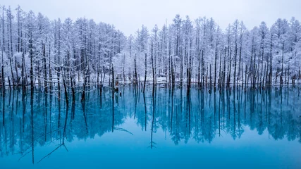 Foto op Canvas 美瑛　青い池　なごり雪 © Yuuki Kobayashi