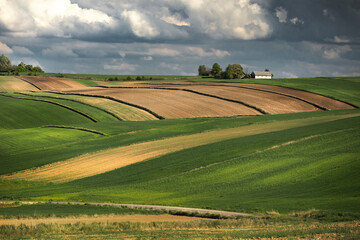 field and blue sky