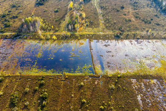 Germany, Bavaria, Konigsdorf, Aerial view of wetland