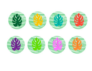 Set of round patterns with tropical leaves. Icons with leaves on a multicolored background. Vector illustration for use on social media, blogging, covers, stories and designs.