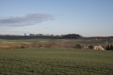 Fototapeta premium Scanian landscapes around Skåne Malmö Sweden in the spring