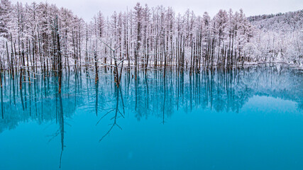 なごり雪の青い池