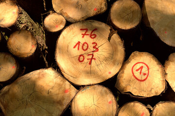 Holzlager