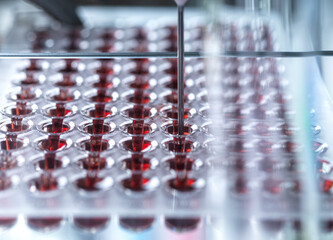 Red blood samples held in multi well plate ready for testing in lab