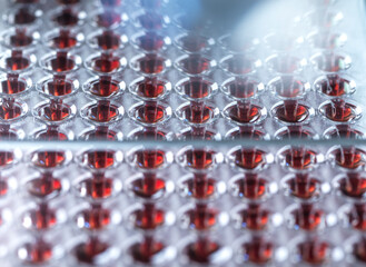 Blood samples held in multi well plate in lab