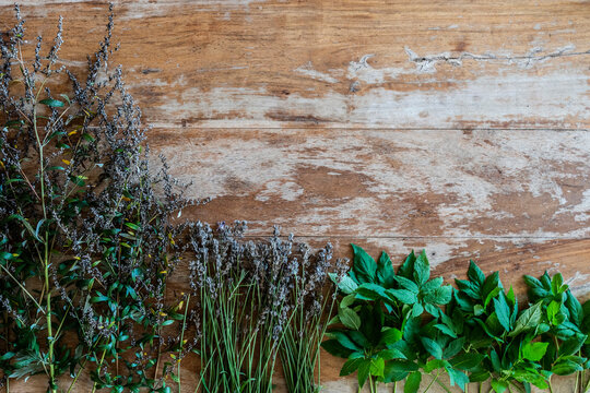 Varieties of medicinal herbs against wall