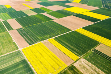 Germany, Hesse, Munzenberg, Helicopter view of green and yellow countryside fields in summer