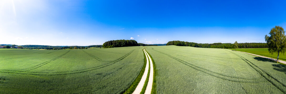 Aerial view of dirt road cutting through green wheat field in summer