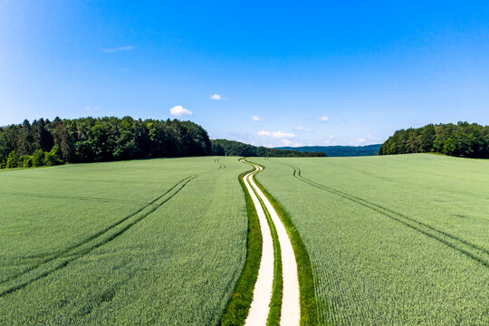 Aerial view of dirt road cutting through green wheat field in summer