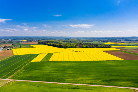 Germany, Hesse, Munzenberg, Helicopter view of green and yellow countryside fields in summer