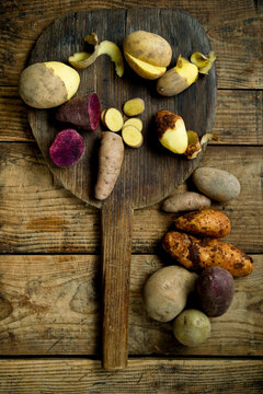 Different types of potatoes: Glorietta, purple sweet potato, Agria, Annabelle, Bamberger Hoerndl, Gala on rustic wooden background