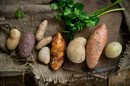 Different types of potatoes: Glorietta, purple sweet potato, Agria, Annabelle, Bamberger Hoerndl, Gala on rustic fabric background