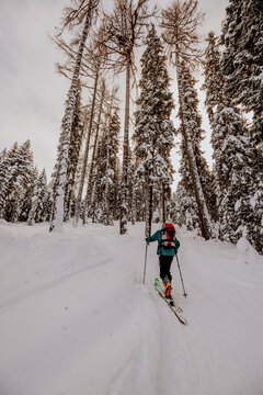 Austria, Carinthia, Villach, Ski touring on Gerlitzen mountain in winter