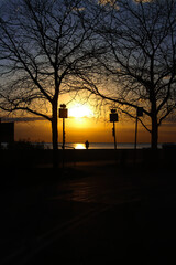 sunrise in the park - 431985902