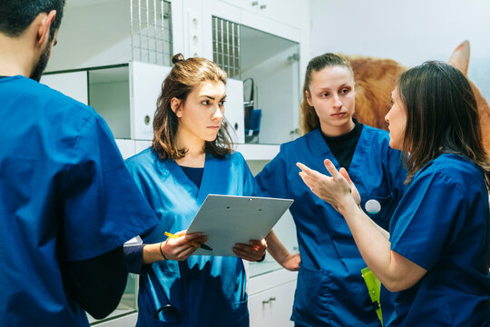 Female nurse gesturing while discussing with veterinarian colleagues in hospital