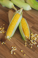 Fresh ear of corn lay down on the table with corn kernels. Corn is a healthy food and versatile use plant. They can use to eat, to make a flour or 
animal feed.