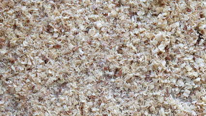Background full of sawdust and shreds.