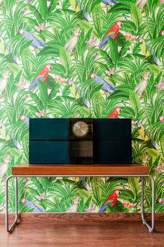 Hi-Fi system in frnt of wallpaper with jungle and parrots pattern