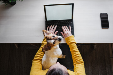 Woman sitting with dog while while working on digital tablet at home office
