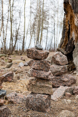 zen stack of rocks stones in dark forest a symbol of harmony and balance