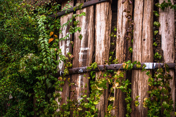 old fence
