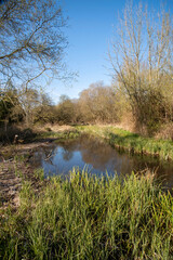 Hampshire, England, UK. 2021.  The River Test close to Stockbridge in rural Hampshire. A world famous chalk stream known for fly fishing.
